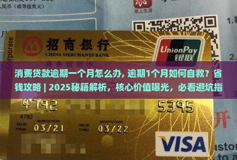 消费贷款逾期一个月怎么办