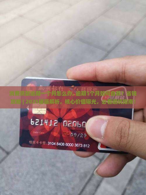 消费贷款逾期一个月怎么办