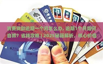 消费贷款逾期一个月怎么办