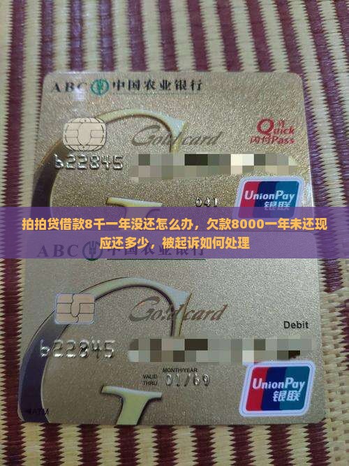 拍拍贷借款8千一年没还怎么办