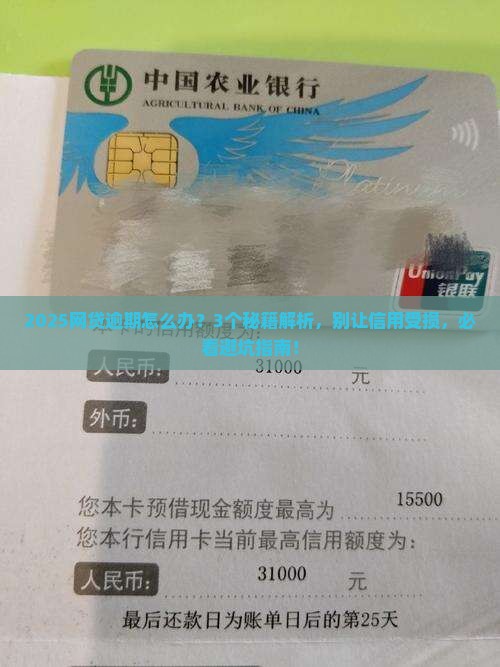 网贷逾期会对个人信用有影响吗