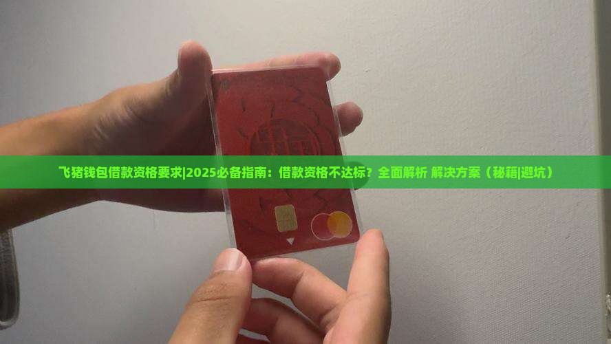 飞猪钱包借款资格要求