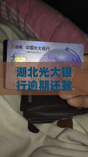 湖北光大银行逾期还款有哪些后果 湖北光大银行逾期还款有哪些后果