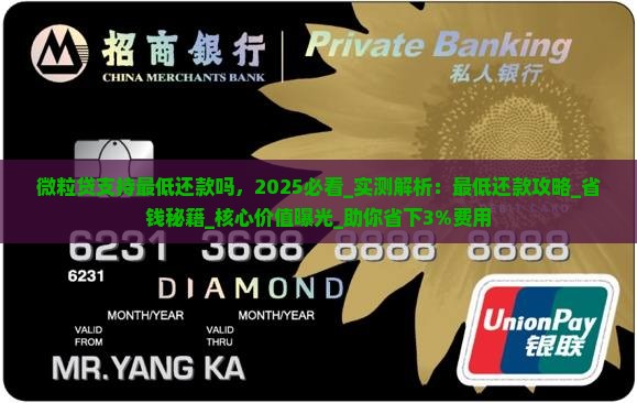 微粒贷支持最低还款吗