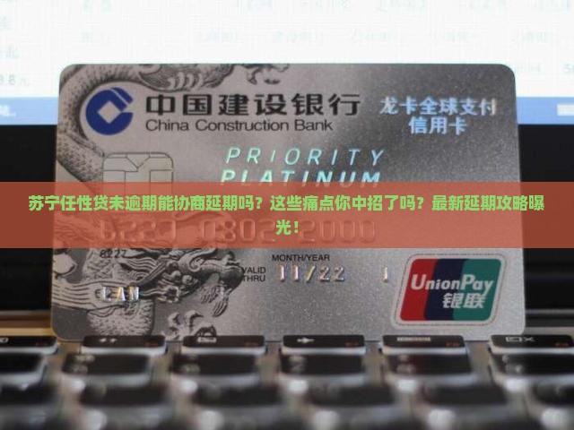 苏宁任性贷未逾期协商延期流程及注意事项 苏宁任性贷未逾期协商延期流程及注意事项