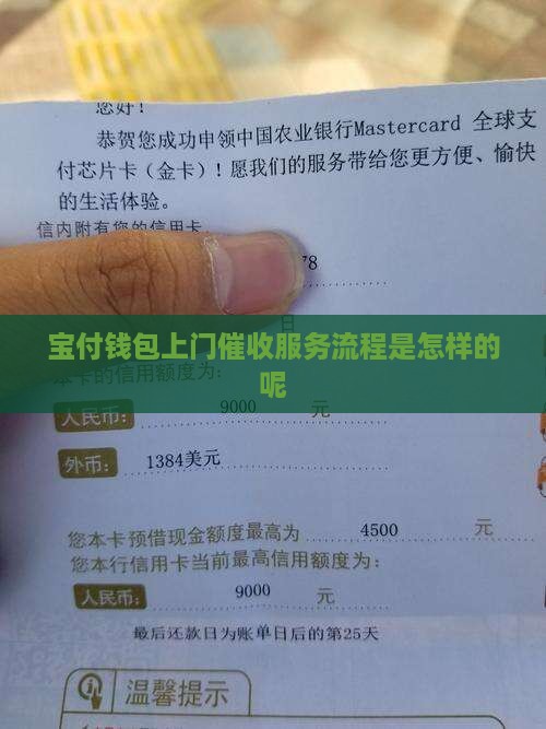 宝付钱包上门催收服务流程是怎样的