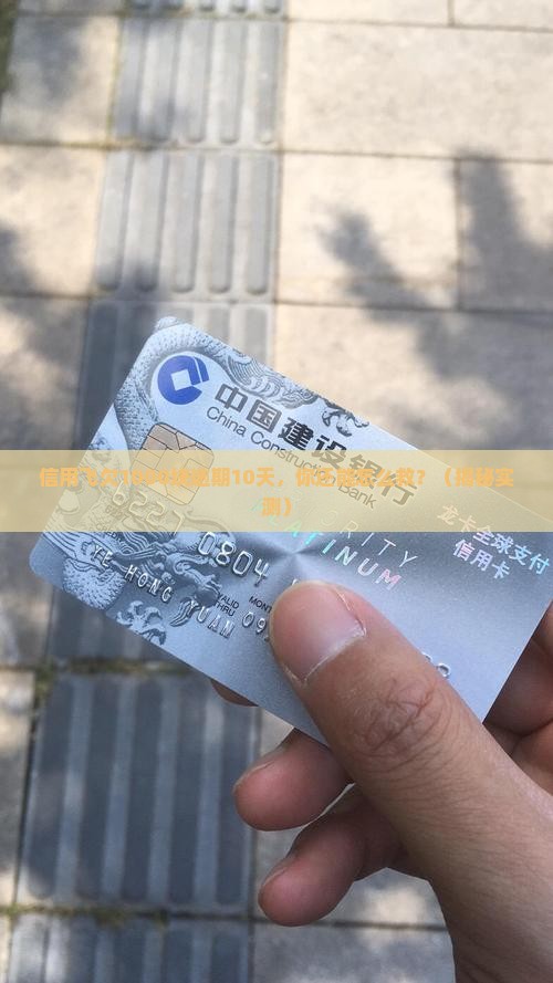 信用飞欠款1000逾期10天了