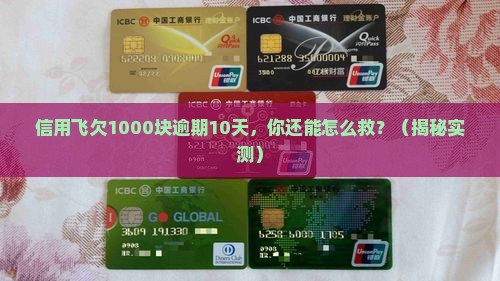 信用飞欠款1000逾期10天了