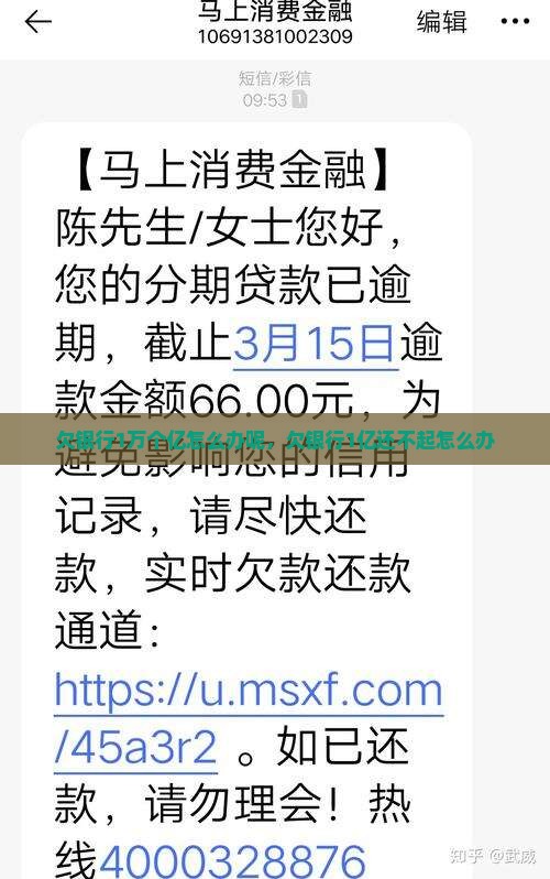 欠银行1万个亿怎么办呢