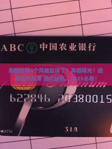 美团逾期4个月被起诉了