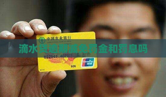 滴水贷逾期减免罚金吗