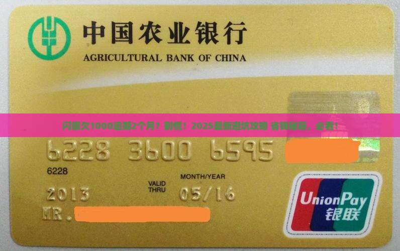 闪银欠1000逾期2个月