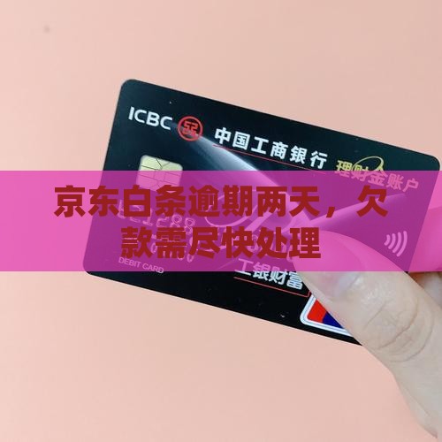 京东白条欠款逾期两天
