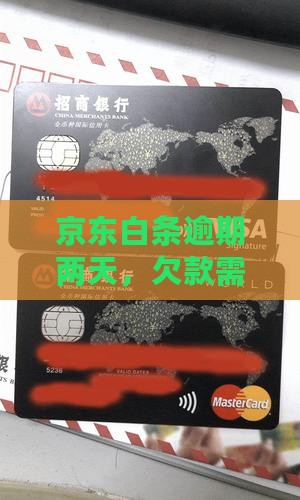京东白条欠款逾期两天