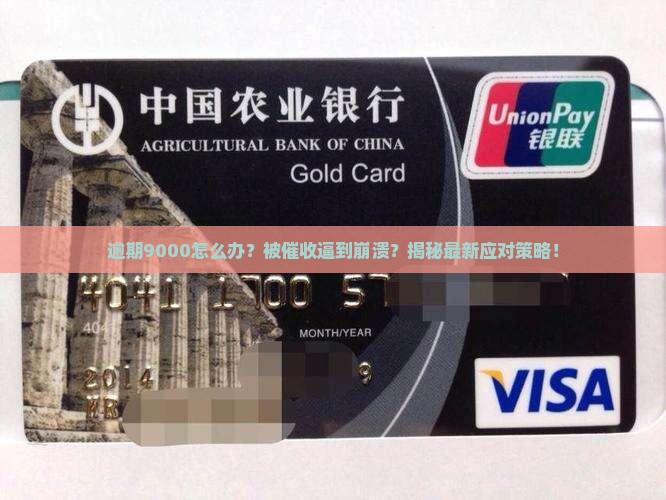 凡普金科逾期9000怎么办
