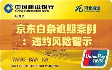 京东白条逾期违约案例