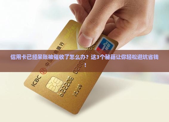 信用卡已经呆账被催收了怎么处理