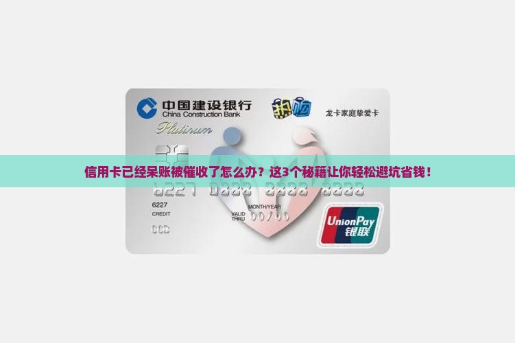 信用卡已经呆账被催收了怎么处理