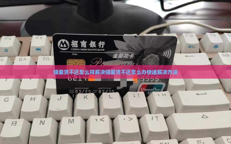 锦囊贷不还怎么样解决