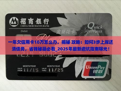 一年欠信用卡10万怎么办