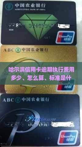哈尔滨信用卡逾期执行费用