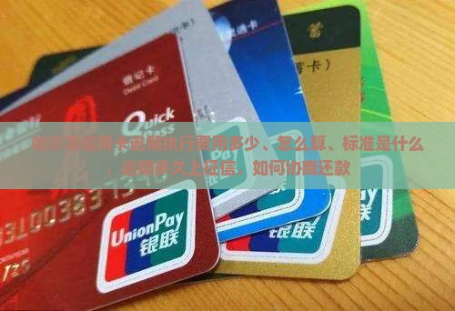 哈尔滨信用卡逾期执行费用