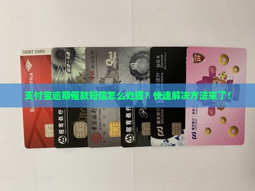 支付宝逾期催款短信怎么处理