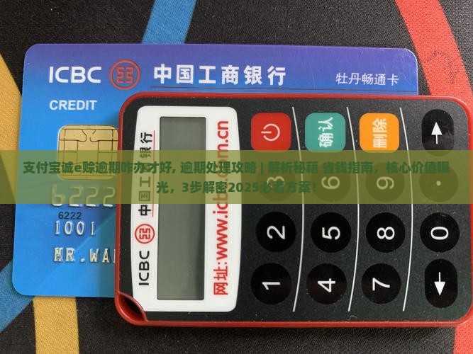 支付宝诚e赊逾期咋办才好