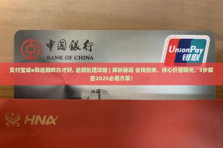 支付宝诚e赊逾期咋办才好