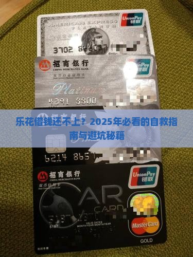 乐花借钱还不上怎么办