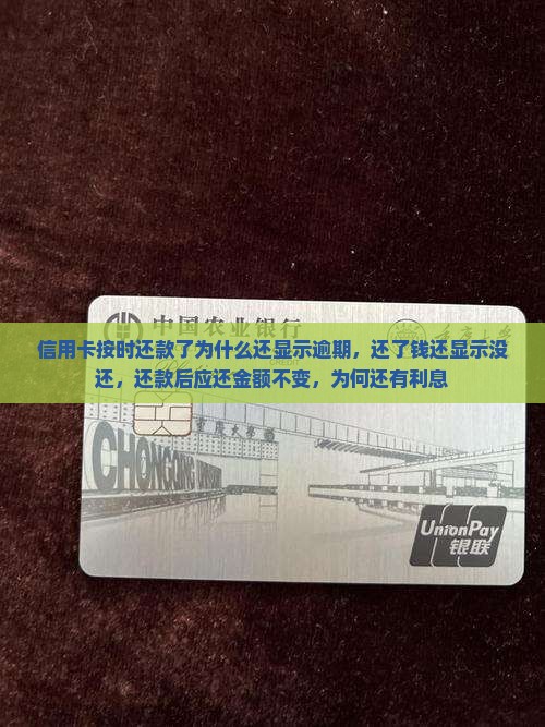 信用卡按时还款了为什么还显示逾期