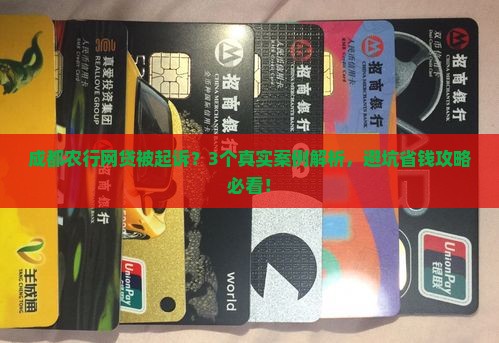 成都农业银行网贷起诉案例详解