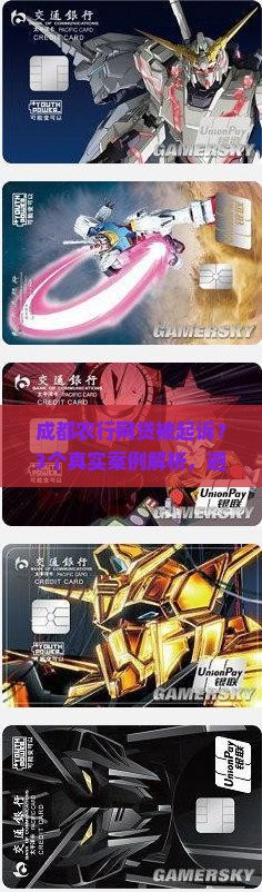 成都农业银行网贷起诉案例详解