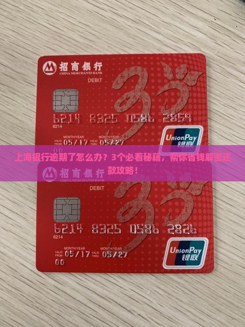 有上海银行逾期的怎么处理