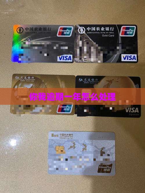 你我云贷逾期一年怎么办