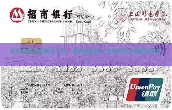 支付宝备用金逾期一天会打催收吗