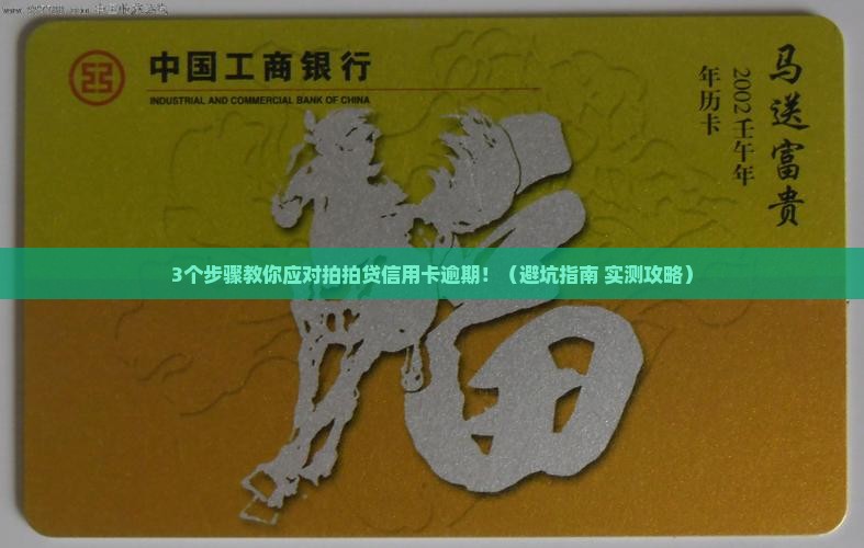 拍拍贷信用卡逾期后怎么办处理