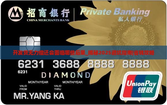 开发贷无力偿还会面临哪些后果