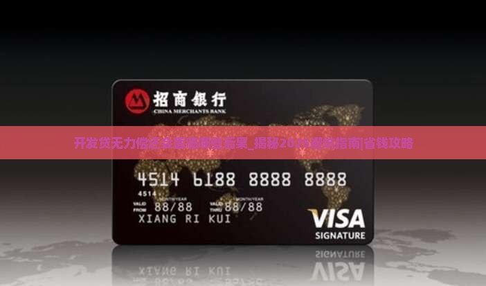 开发贷无力偿还会面临哪些后果