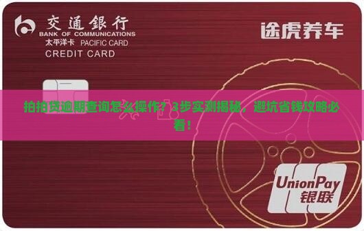 拍拍贷怎样查询逾期