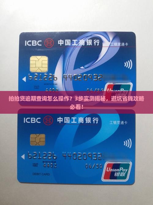 拍拍贷怎样查询逾期
