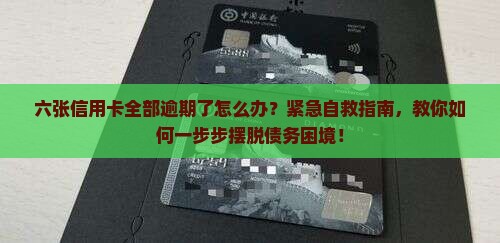 六张信用卡全部逾期了怎么办