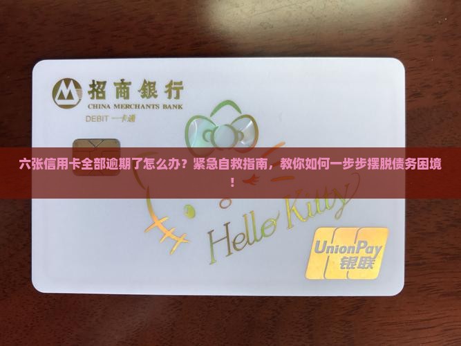 六张信用卡全部逾期了怎么办