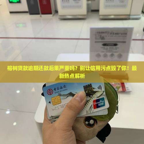 榕树贷款逾期还款后果