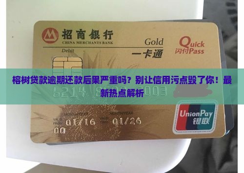 榕树贷款逾期还款后果