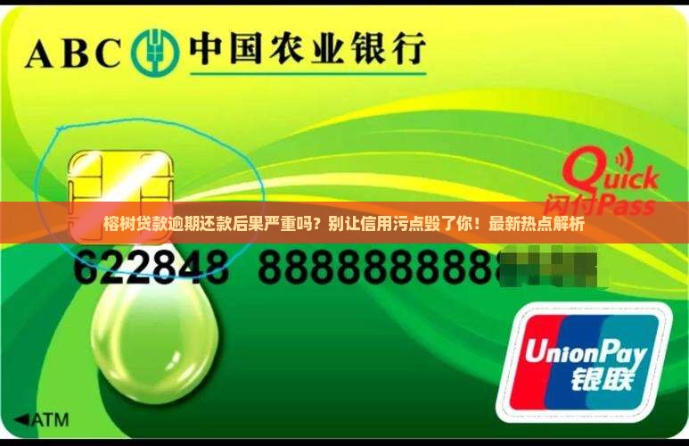 榕树贷款逾期还款后果