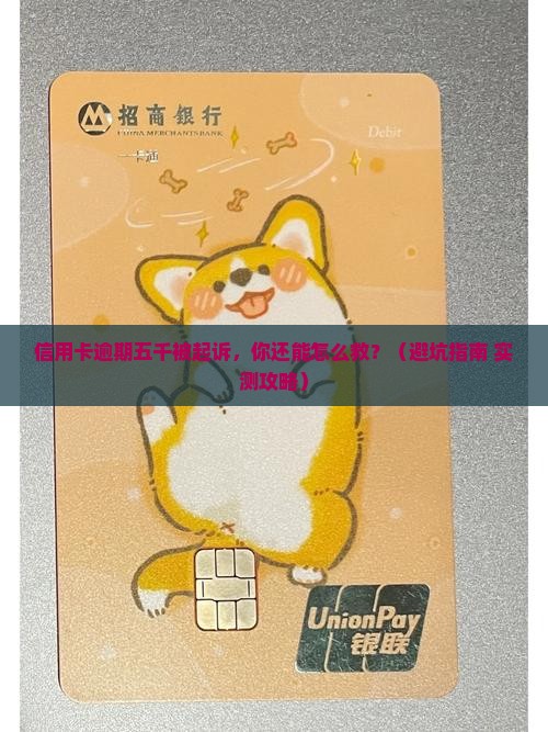 信用卡逾期五千开庭如何解决
