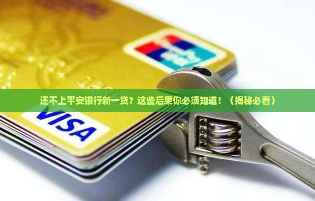 平安银行新一贷还不上会发生什么情况
