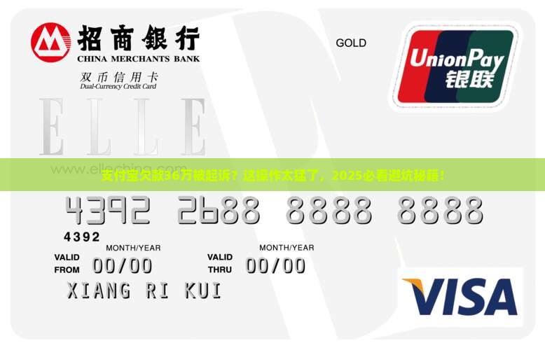 支付宝欠款36万被起诉