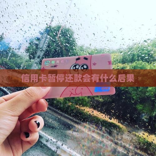 信用卡暂停还款会有什么后果